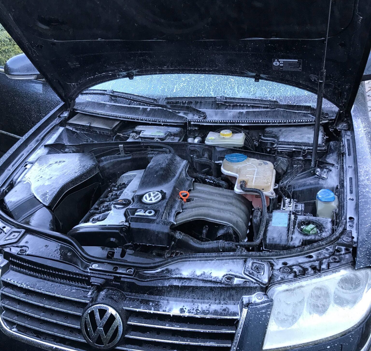 how-to-clean-engine-to-find-oil-leak-understandyourcar